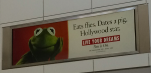 Kermit